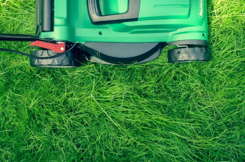 A push mower resting on a green lawn